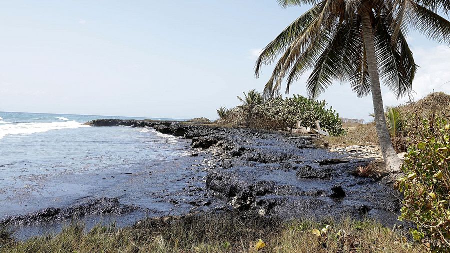 Una de las áreas afectadas por el vertido de crudo en la isla de Tobago