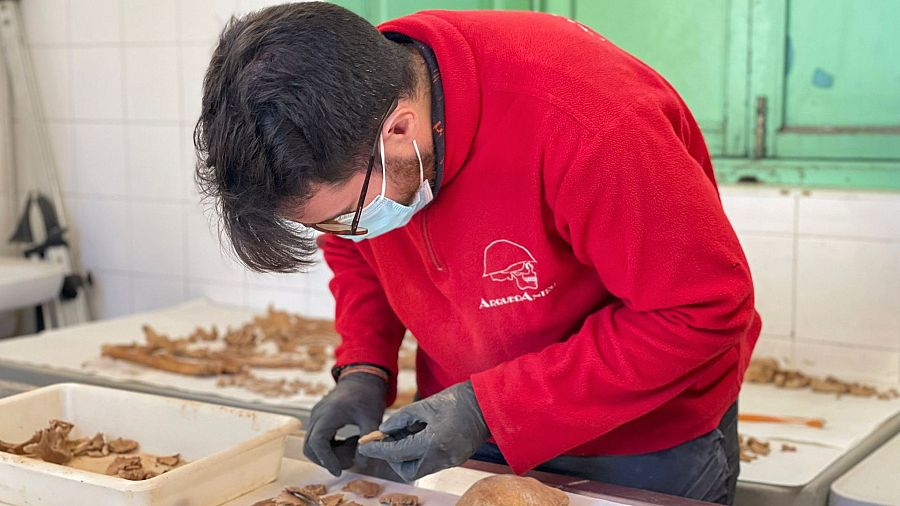 Trabajos de análisis de los restos encontrados en la exhumación en la fosa 146 de Paterna