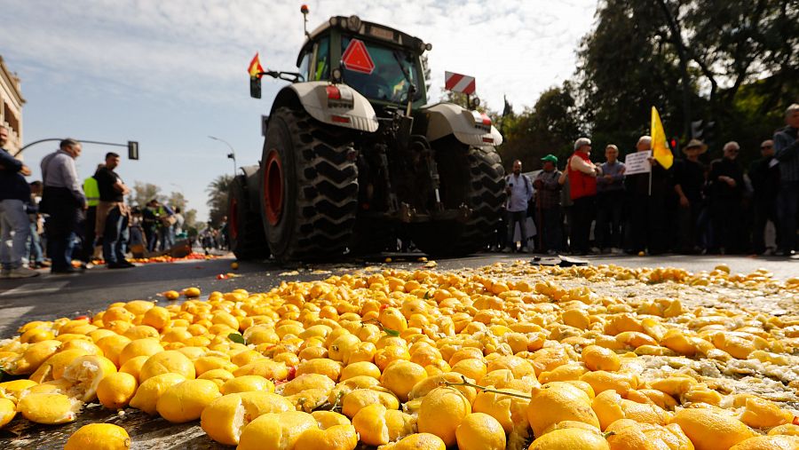 Los agricultores lanzan limones durante las protestas en Murcia