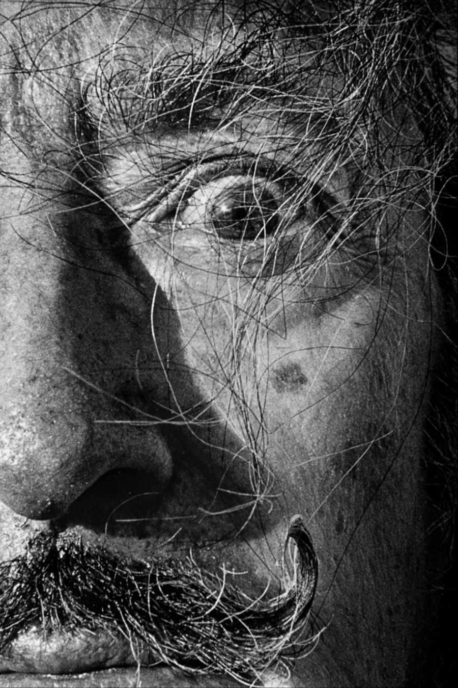 Salvador Dalí, pintor. Portlligat, 1979