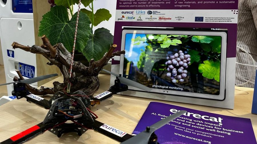 Desarrollan una herramienta por el sector de la viña basada en la integración de servicios de observación terrestre y sensores situados en los campos.
