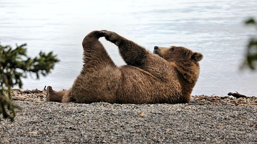 'El hombre y la tierra', la serie que acercó al espectador a la naturaleza, cumple 50 años