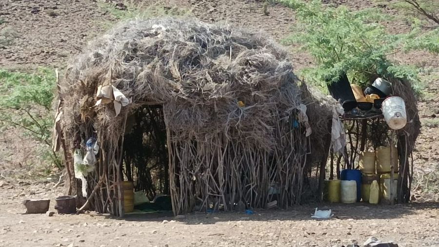 Una cabaña hecha con palos y ramas con algunos enseres de plástico y latón en su exterior.