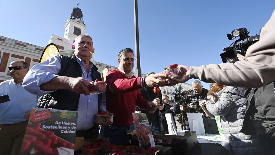 UPA repartirá hoy en Madrid más de 2.000 tarrinas de fresas de Huelva 