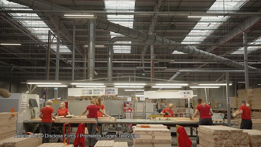 Planta de madera y mujeres cortan y embalan madera