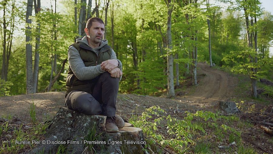 Hombre sentado en una roca rodeado de bosque