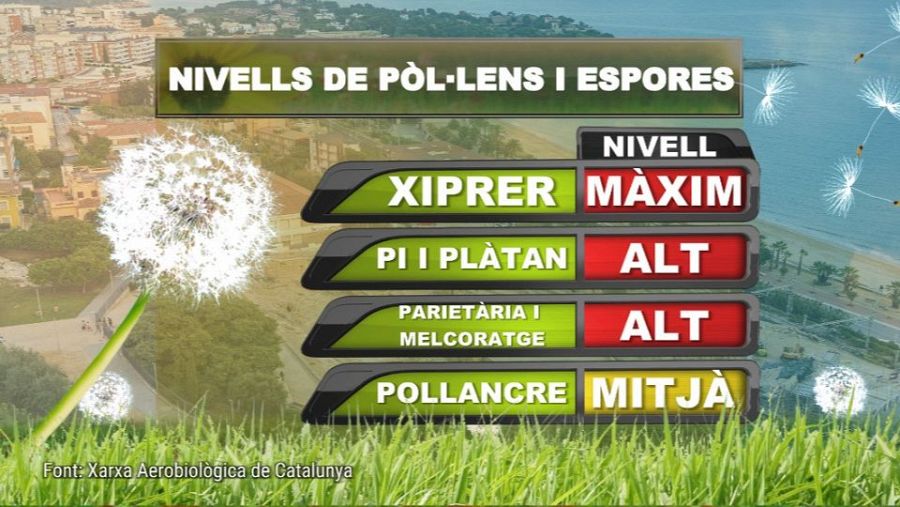 Primavera: temps de flors, però també d'al·lèrgies