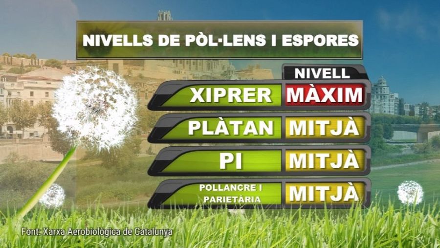 Primavera: temps de flors, però també d'al·lèrgies