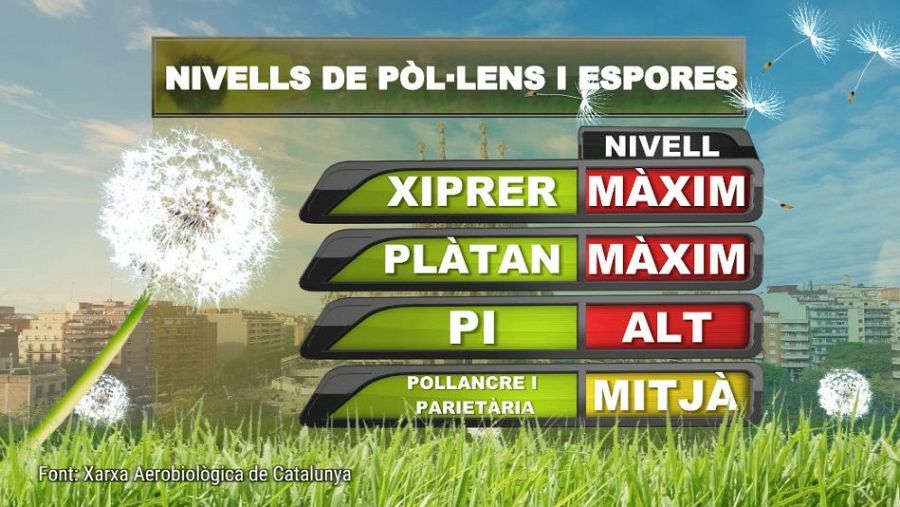 Temps de flors, però també d'al·lèrgies