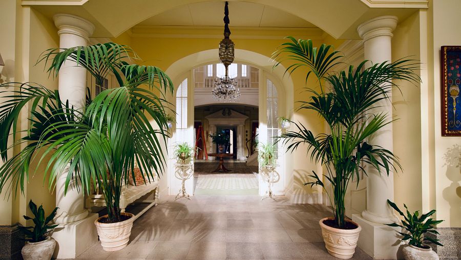 Decorados de La Promesa: El invernadero del palacio