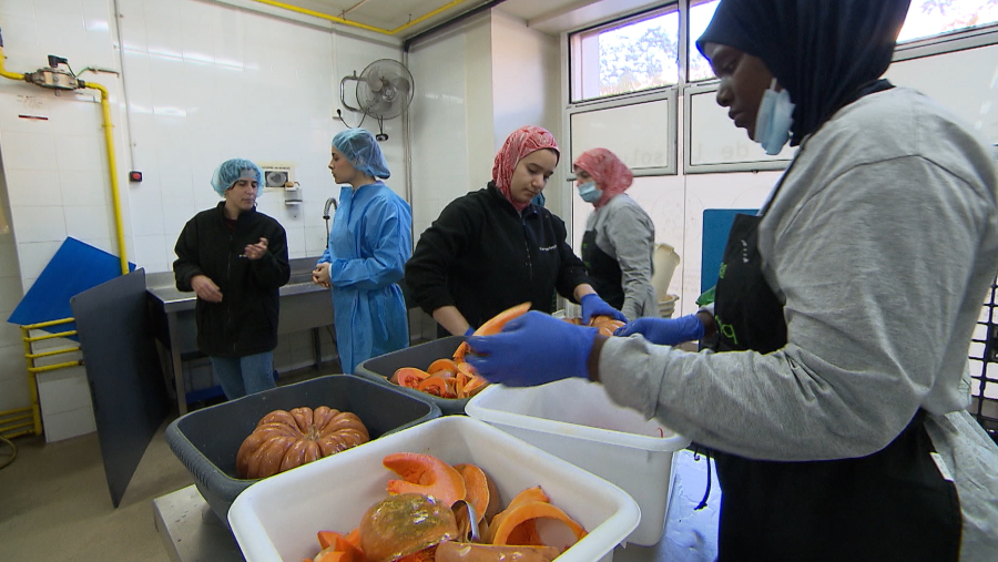 La Fundació Espigoladors contribuye al aprovechamiento alimentario