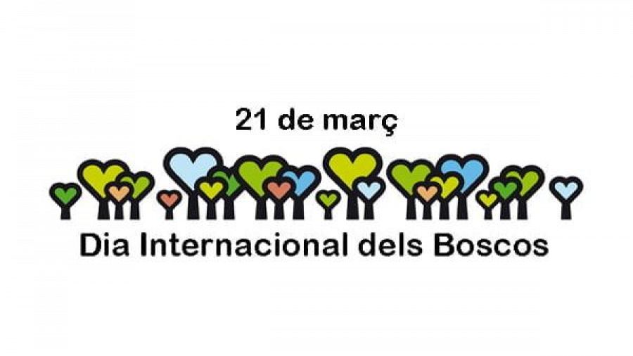 21 de març: Dia Internacional dels Boscos