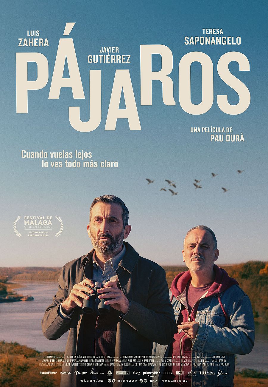 Póster de 'Pájaros'