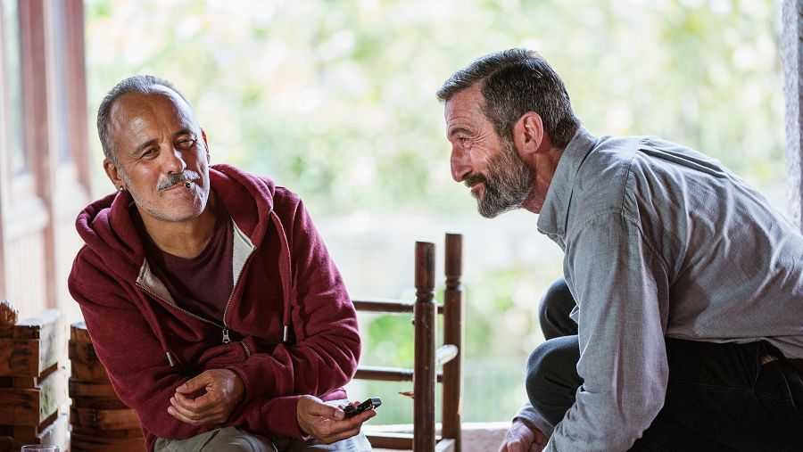 Fotograma de 'Pájaros'