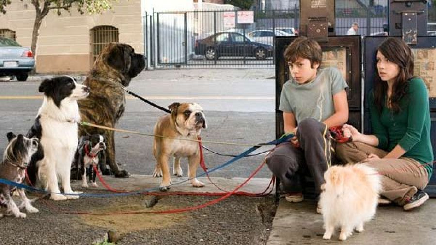 Fotograma hotel para perros