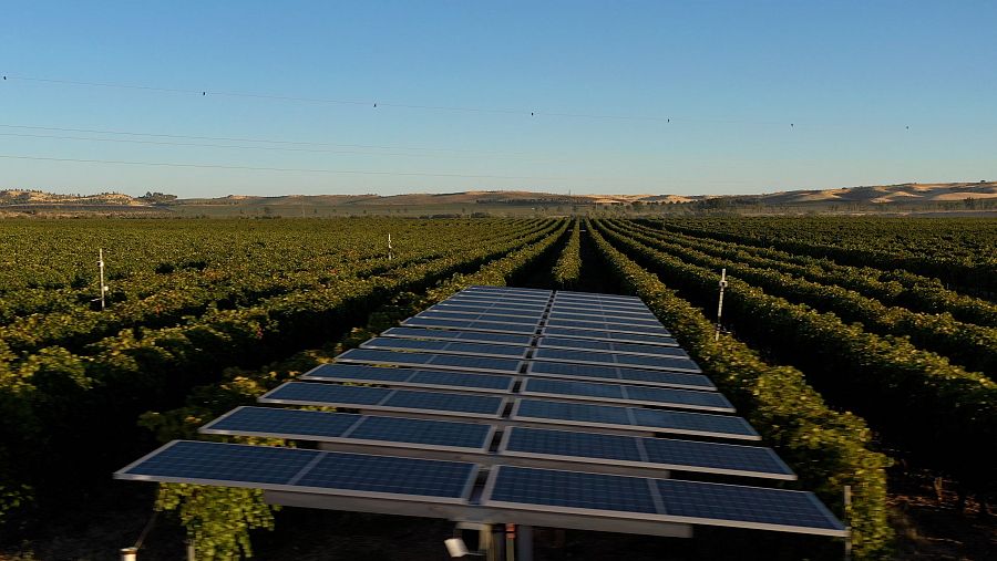 Planta Winesolar, en Toledo