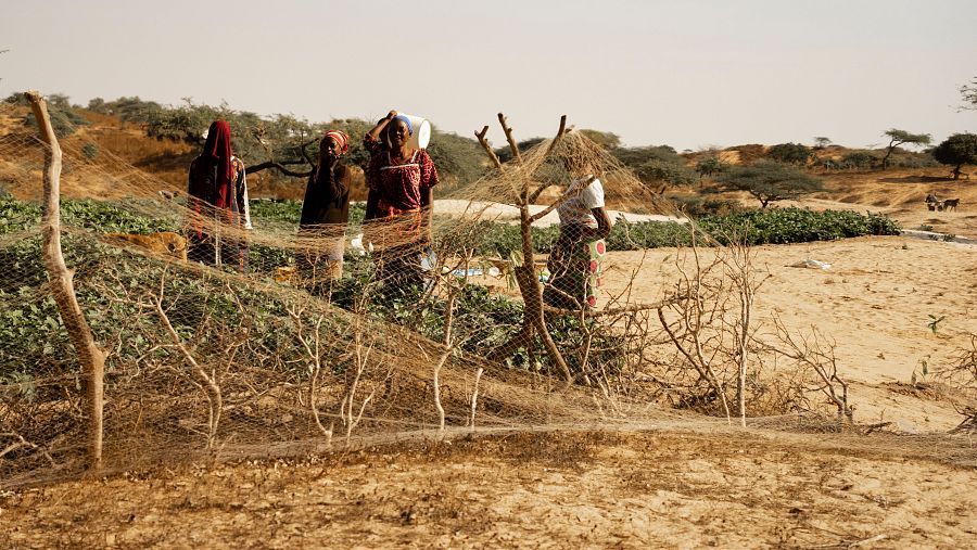 Mujeres trabajando en el campo en una localidad rural de Senegal