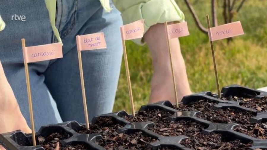 Algunes varietats de plantes necessitaran guies o tutors per a créixer