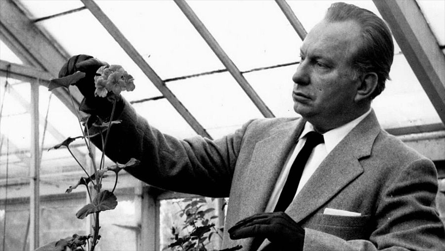 hombre con guantes retocando una planta en flor