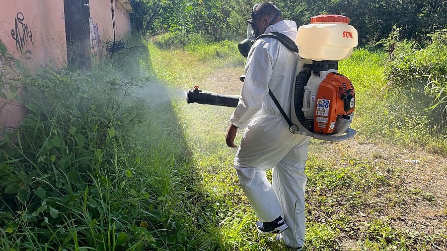 Imagen: Un hombre fumiga en Puerto Rico para eliminar el mosquita que propaga el dengue