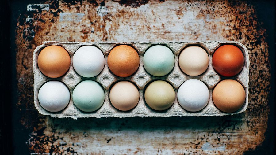 Ejemplo de cómo debe ser la distribución de una huevera