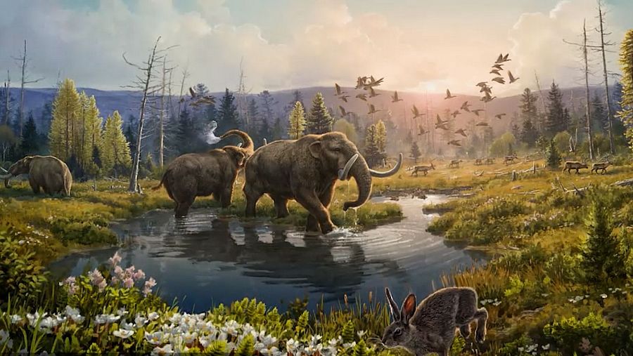 Recreación del ecosistema de Groenlandia hace dos millones de años