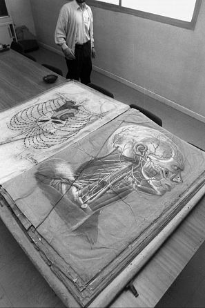 Ejemplos de los dibujos de Santiago Ramón Y Cajal.