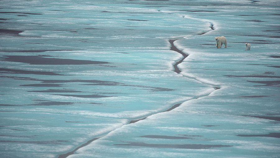 El aumento de las temperaturas está provocando que se derrita el hielo ártico y antártico.