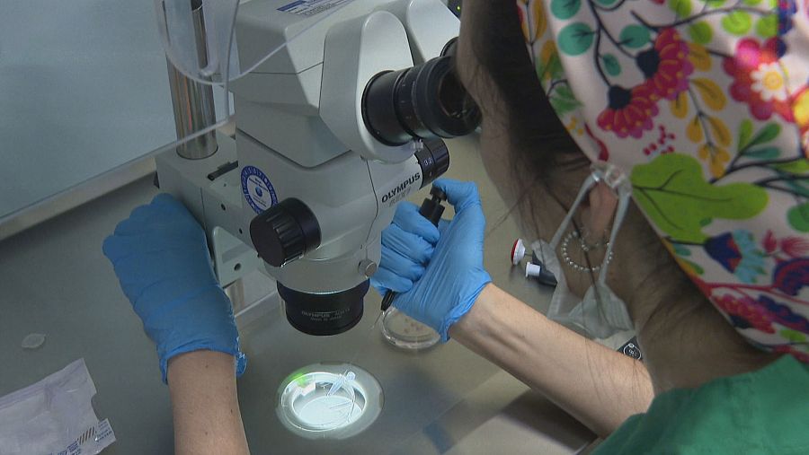 Los laboratorios de embriología recrean las condiciones del útero