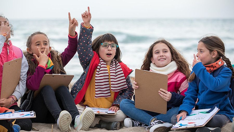 Això no és Suècia'