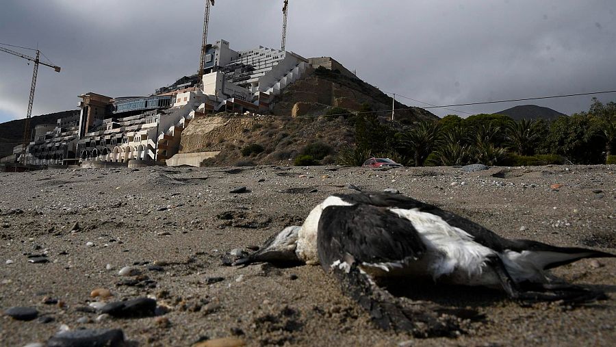 El hotel de El Algarrobico se alza a escasos metros del mar en Cabo de Gata-Níjar