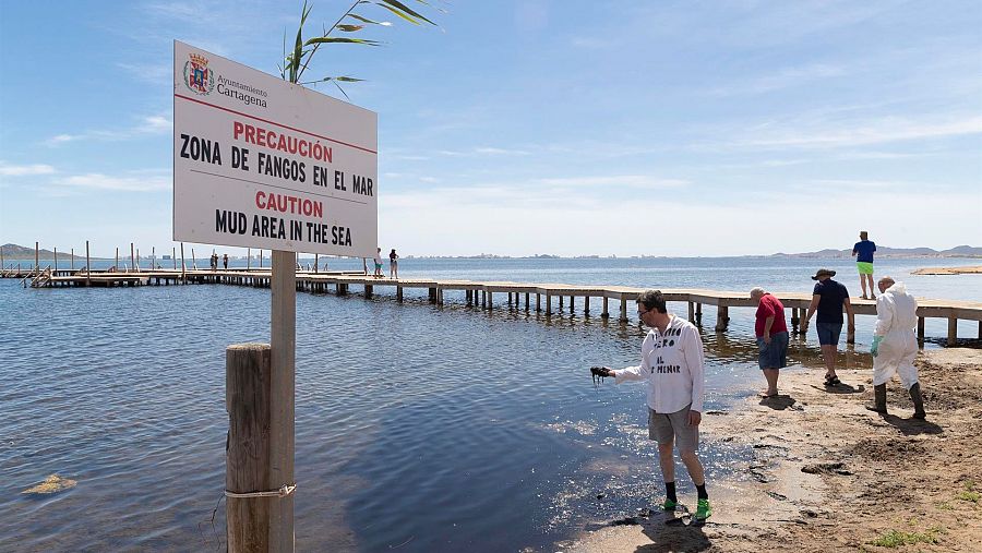 Organizaciones ecologistas de Murcia realizan una retirada simbólica de biomasa en varias playas del Mar Menor