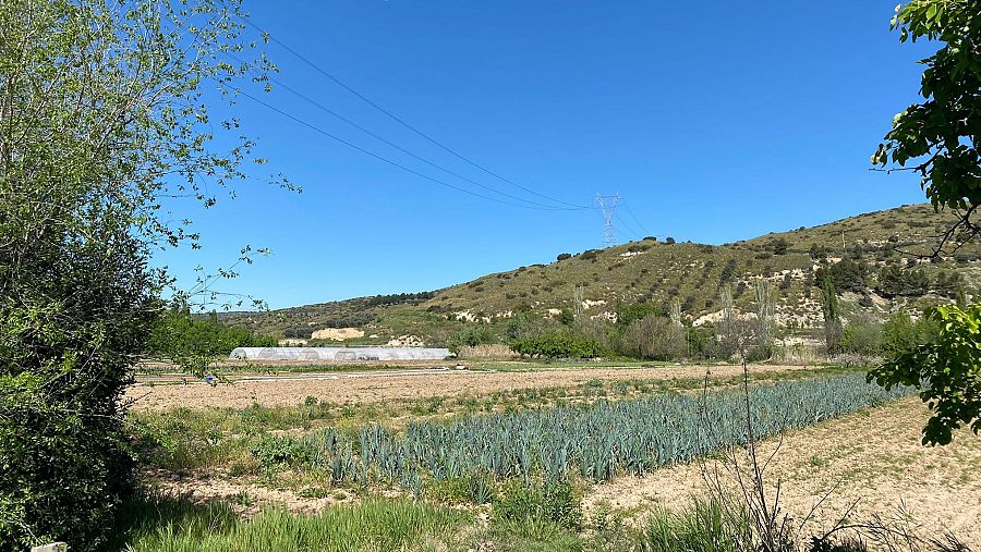 La huerta de Isa y Tole