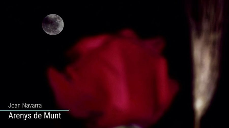 La Lluna Rosa acomiada la diada de Sant Jordi d’enguany