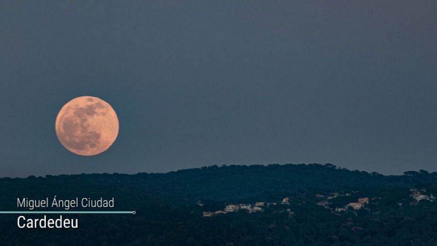 La Lluna Rosa acomiada la diada de Sant Jordi d’enguany