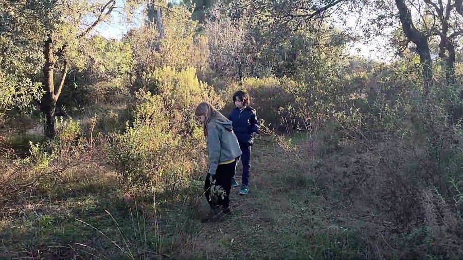 Recol·lectar fulles