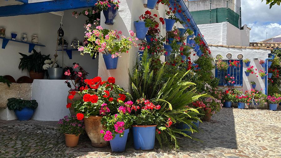 Comienza el Festival de los Patios de Córdoba