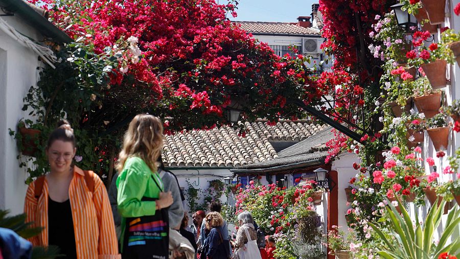 Comienza el festival de los Patios de Córdoba hasta el próximo 12 de mayo