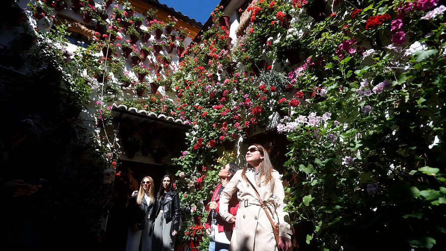 Comienza el festival de los Patios de Córdoba hasta el próximo 12 de mayo