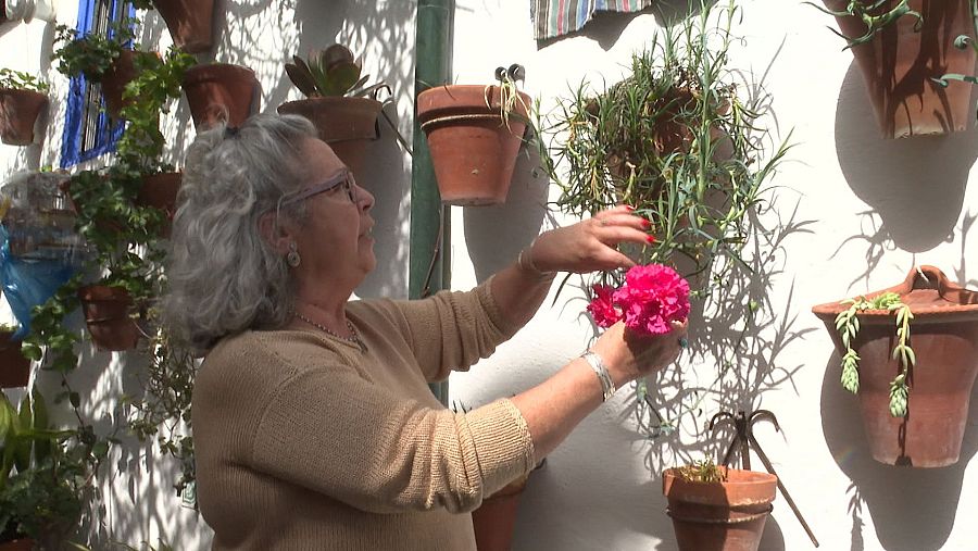 Pilar Silva, semanas antes de la Fiesta, se dedica a diseñar cómo colgará las maceta