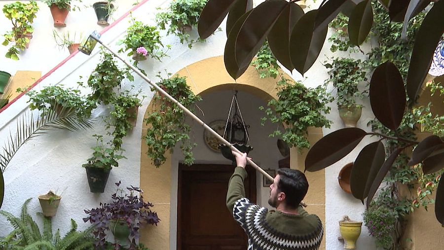 El benjamín de los patios cordobeses