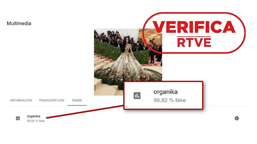 Resultado que ofrece el comprobador de fotografías del Proyecto IVERES sobre la imagen generada con IA