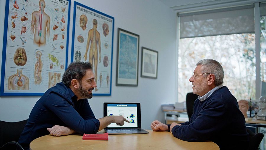 ¿Quién manda en el cerebro? La jerarquía de las redes neuronales