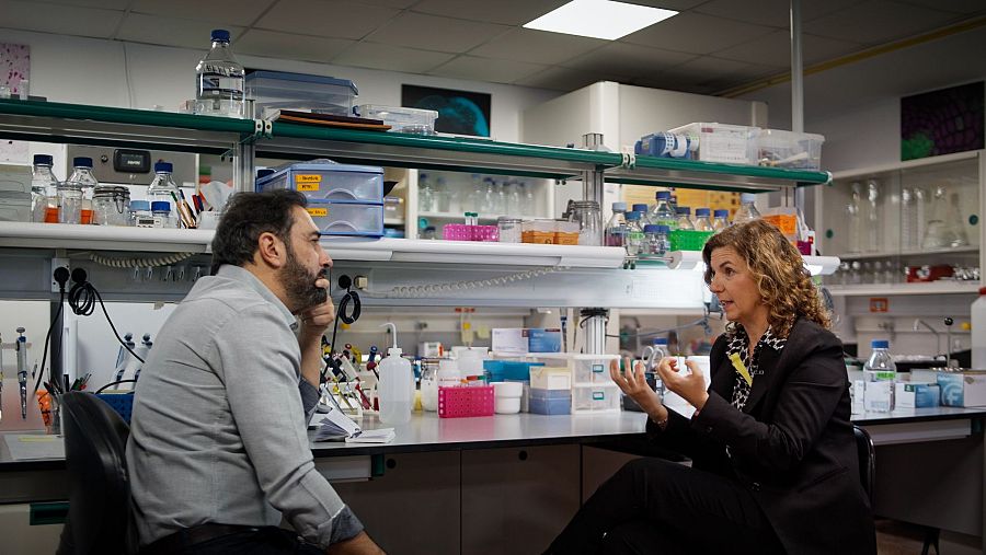 Sentido y plasticidad: el fascinante origen de los circuitos sensoriales