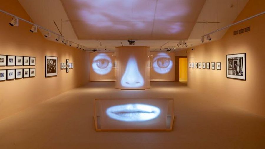 Elliott Erwitt. La comedia humana