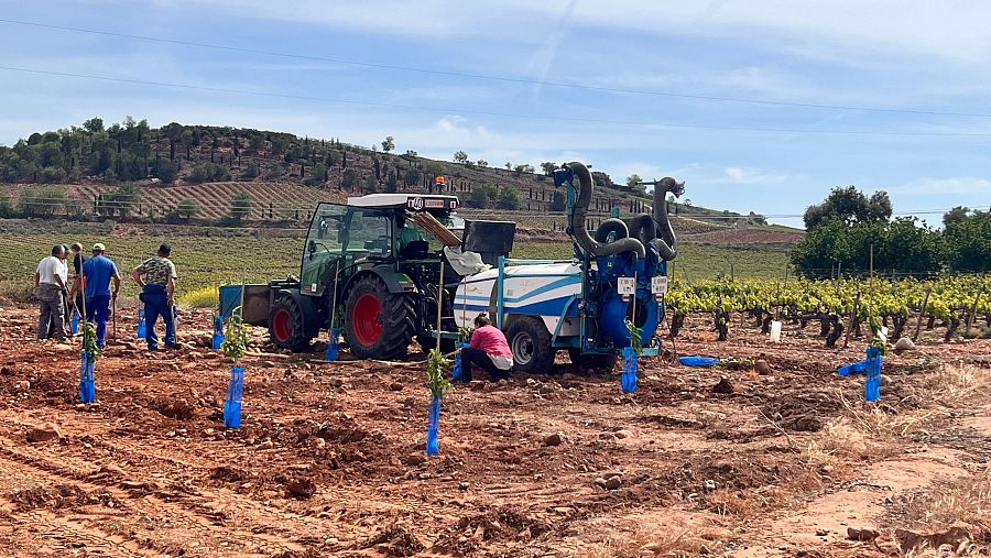 Cambiarán las condiciones del regadío y tendrán mejor acceso al riego