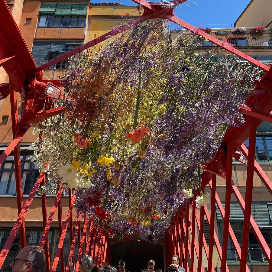 Mostra 'Boira de safrà' de Temps de Flors 2024