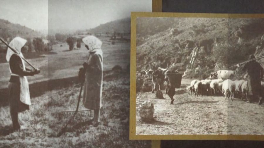 Fotos antiguas de trabajadoras y trabajadores del campo