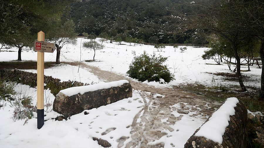 Nevada el 23 de enero de 2023 en la Sierra de Tramuntana en Mallorca