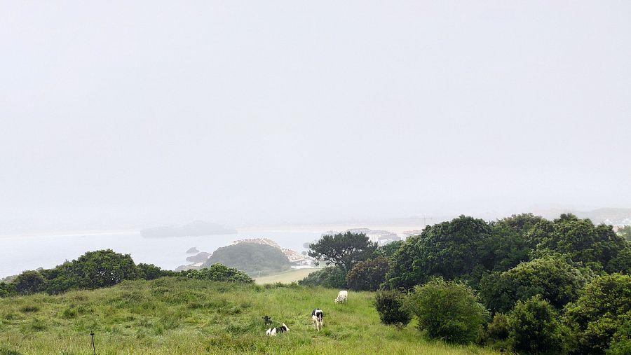 Fotografía de la playa y costa de Isla en Cantabria